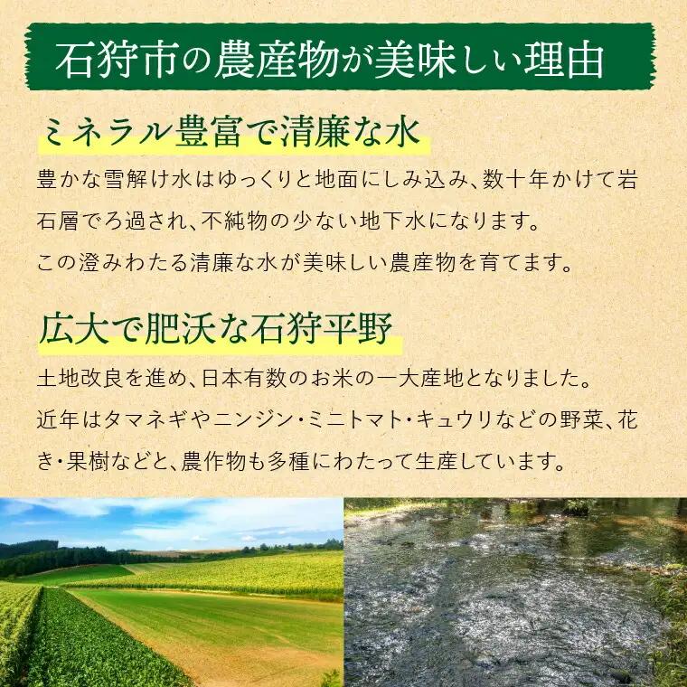 石狩産 人参 10kg【8月～11月発送】｜ ふるさと納税 北海道産 野菜 にんじん 北海道 当別町