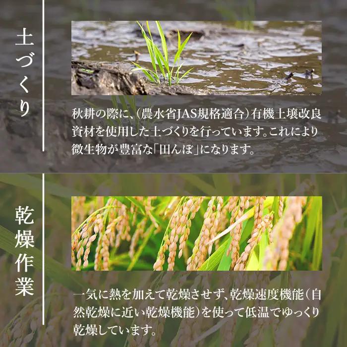 【令和8年産 新米】＜先行予約受付中！R8年10月下旬から順次発送予定＞ にじのきらめき 5kg (5kg×1袋) お米 おこめ 米 コメ 白米 ご飯 ごはん おにぎり 宮城米 新米 お弁当 【お米農