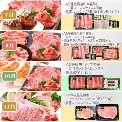 定期便(1年で10回配送)枕崎お楽しみ便(A5等級黒毛和牛・黒豚・黒豚加工品etc) II-6002