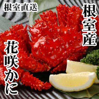 ふるさと納税 根室市 ＜12/21まで年内配送＞★花咲かに300〜450g前後×6尾 C-30005