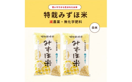 特別栽培みずほ米 銀河のしずく 白米 20kg（10kg×2袋）　【1756】