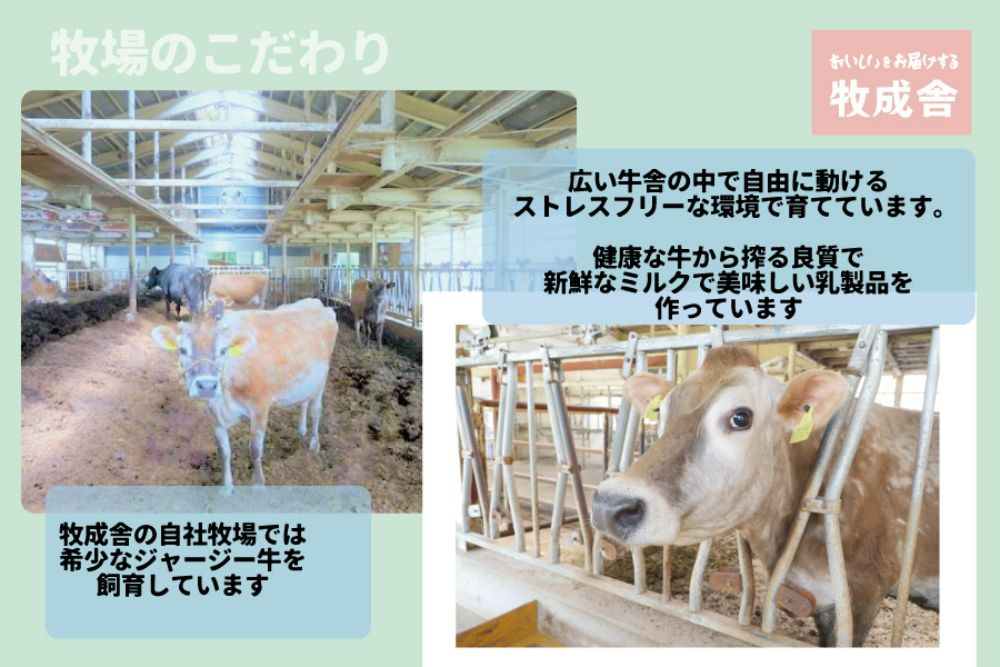 【 6ヶ月 定期便 】飛騨の牛乳屋こだわり 牛乳 3本 飲むヨーグルト 2本 セット 低温殺菌 6回 無添加 牧成舎 飛騨高山 TR3335