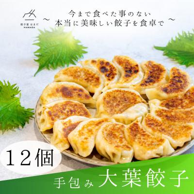 ふるさと納税 草津市 手包み大葉餃子　12個入り
