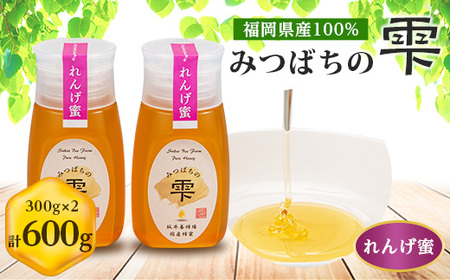 みつばちの雫　国産れんげ蜜　300g×2【1496814】