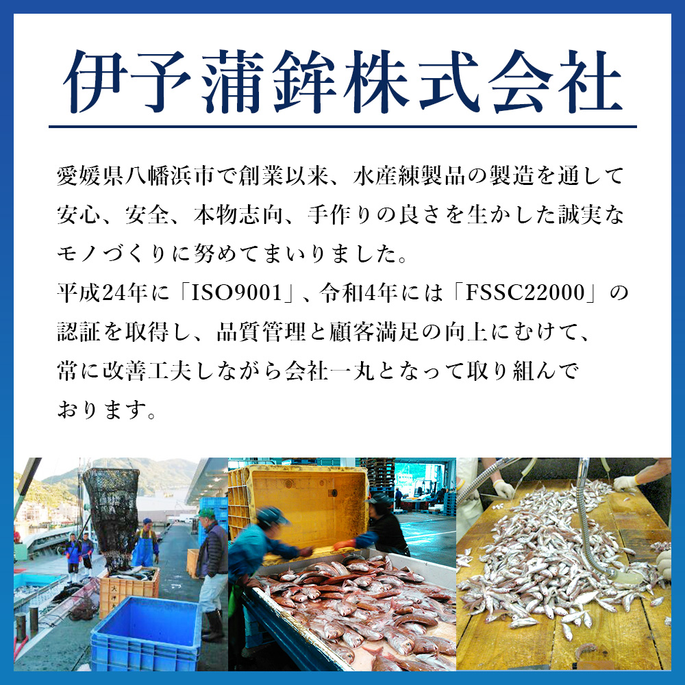 ＜特選蒲鉾 詰め合わせセット 4種 計9袋＞ かまぼこ 練り物 練り製品 珍味 伊予蒲鉾 特産品 愛媛県 西予市