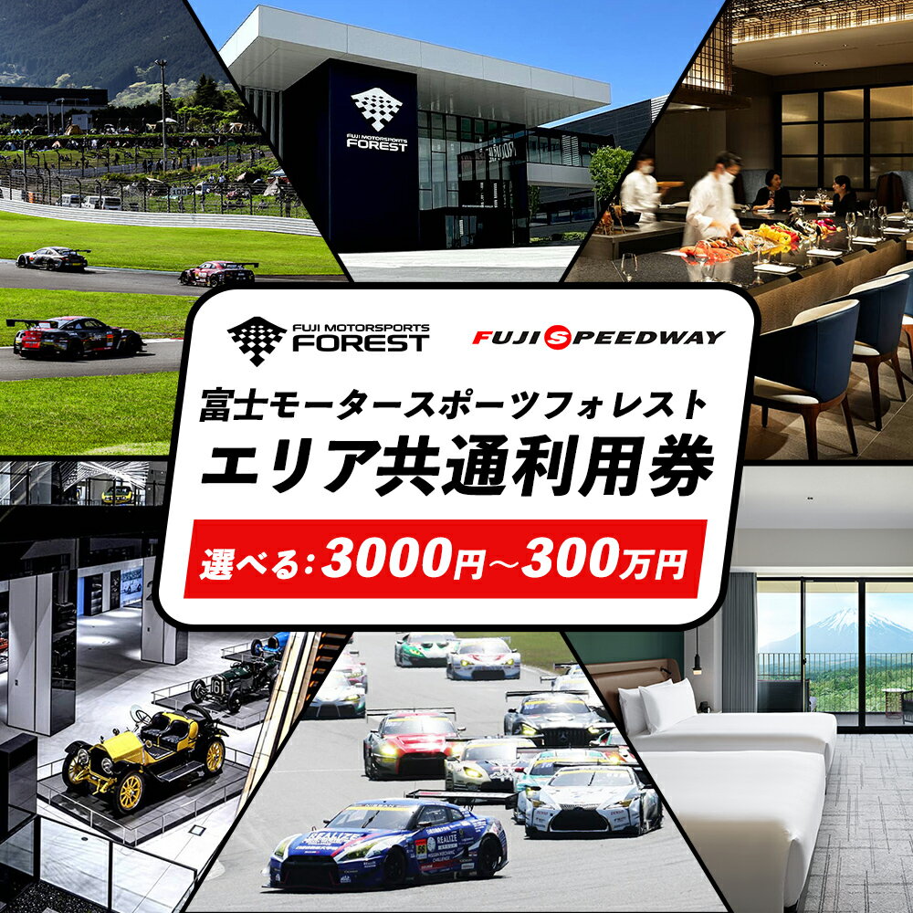 【ふるさと納税】＜選べる＞ 富士 モータースポーツフォレスト エリア 共通利用券 3000円 ～ 300万円 ｜富士スピードウェイ 利用券 商品券 チケット 券 ギフト券 モータースポーツ カーレース サーキット ホテル 宿泊 体験 静岡 旅行