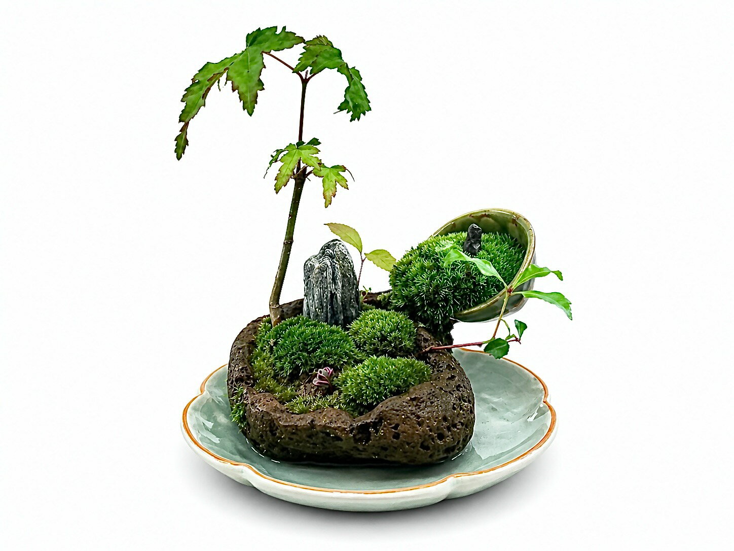 【ふるさと納税】自社栽培の植物山野草と苔のミニ庭園 | 苔盆景テラリウム こけ インテリア ミニチュア 溶岩石 受け皿付き おまかせ