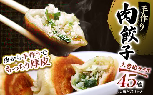 4月発送  肉餃子45個(15個×3)  冷凍餃子 ギョーザ ぎょうざ 中華 簡単調理 小分け 冷凍食品 焼くだけ 惣菜 冷凍 肉 豚肉 F4F-4050