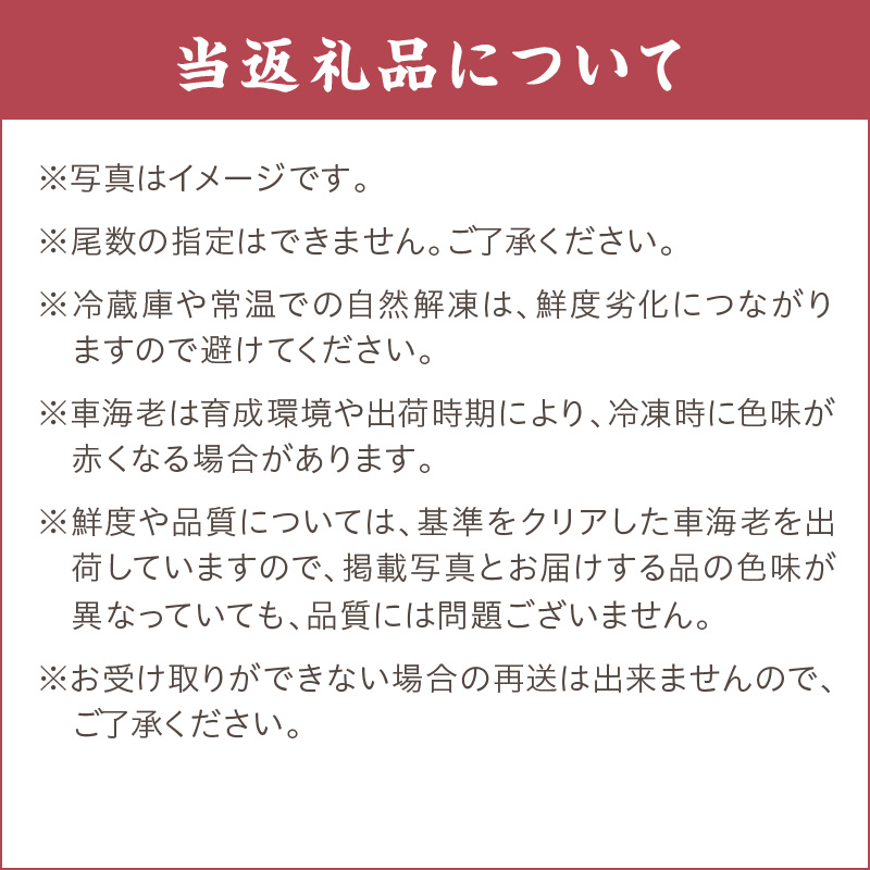 伊万里産 冷凍車海老（訳あり、加熱用、250gx5pc） 010-C197_イメージ5