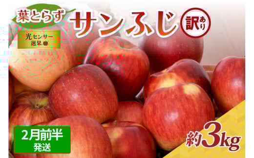 【2026年2月前半発送】【訳あり】青森県産葉とらずサンふじりんご約3kg