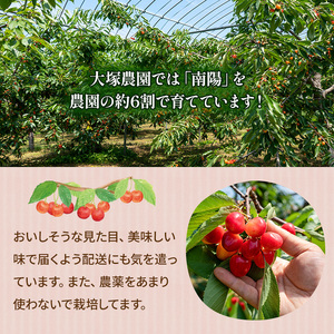 さくらんぼ 800g 佐藤錦 M-Lサイズ混合 サクランボ