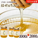 【ふるさと納税】はちみつ はぜはちみつ 選べる内容量 1000g または2000g(1000g×2本) 蜂蜜 国産 熊本県荒尾市産 純粋蜂蜜 木原養蜂園《30日以内に出荷予定(土日祝除く)》