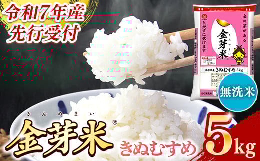 
            【先行受付】新米 令和7年産 BG無洗米・金芽米きぬむすめ 5kg  【先行予約 新米予約 予約 節水 低カロリー 健康 ビタミン ミネラル つや お弁当 おいしい うまみ 甘み ふっくら 時短 簡単  島根県 安来市】【価格変更】
          