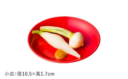 【波佐見焼】赤紅（あかべに）色 6型セット 小皿 茶碗 小鉢 大皿  食器 皿 【DRESS】 [SD10] 波佐見焼