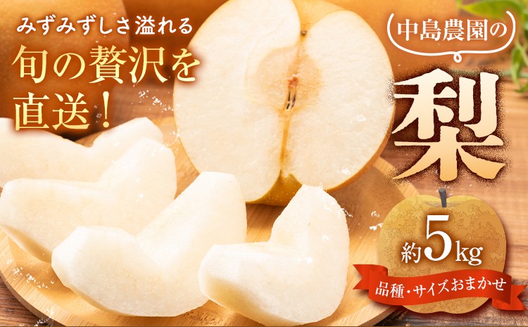
                  梨 5kg 品種・サイズおまかせ 中島農園《8月上旬-9月末頃出荷》茨城県 結城市 フルーツ 旬 果物 幸水 豊水 あきづき 恵水 甘太 など から ランダム【配送不可地域あり】(沖縄・離島)
                