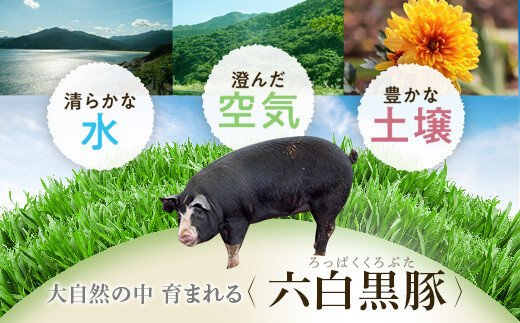 特選黒豚焼肉・トンカツ・焼豚２個セット