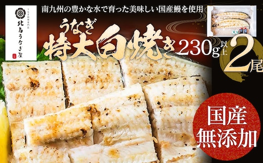 
										
										うなぎの特大白焼き（2尾）230g以上×2尾 AE05 
									