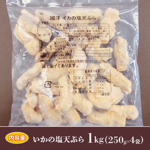 イカ塩天ぷら 250g×4袋 イカ
