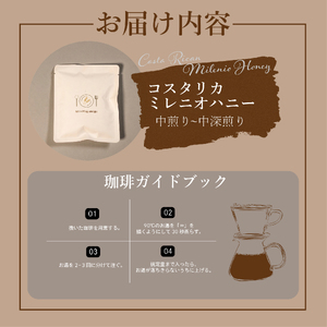 【 自家焙煎 珈琲  】コーヒー ドリップバッグ 5袋