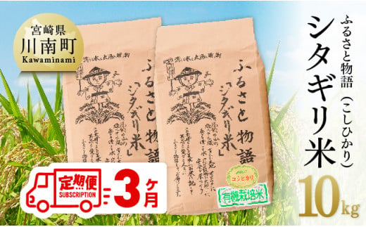 【3ヶ月定期便】※毎月20日頃発送※【令和6年産】宮崎県産こしひかり「シタギリ米」5kg×2 【 お米 新米 2024年産 定期便 全3回 】