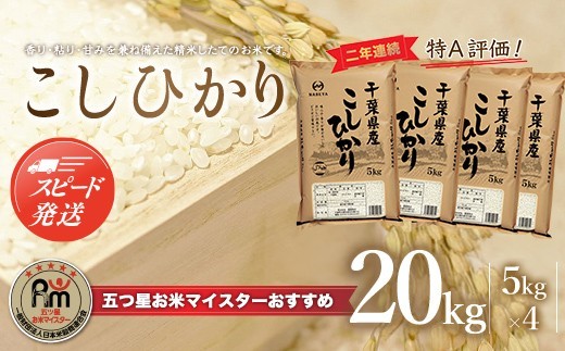 令和7年産 2年連続特A評価!千葉県産コシヒカリ20kg（5kg×4袋） お米 20kg 千葉県産 大網白里市 コシヒカリ 米 精米 こめ 送料無料 E003