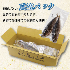 冷凍鮮魚セット 600g(2~3種) 下処理済み 冷凍鮮魚 ［1712］