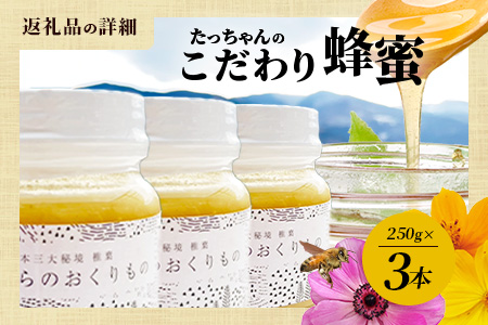 標高800m たっちゃんのこだわり蜂蜜【250g×3本】送料無料 宮崎県 椎葉村 秘境 蜂蜜 はちみつ ハチミツ みつばち ミツバチ 伝統的 養蜂 国産 天然 百花蜜 巣箱 数量限定 季節 希少 25