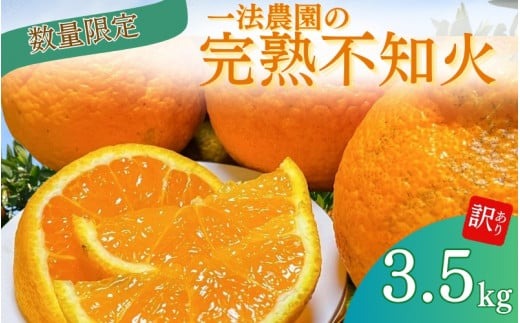 一法農園の完熟不知火 ご家庭用 ちょこっと訳あり L-3Lサイズ 3.5kg【2月上旬～3月下旬までに順次発送】 / みかん ミカン 蜜柑 不知火 デコポン【mkz015】