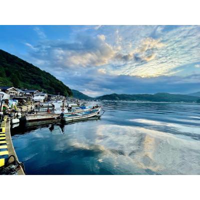 ふるさと納税 美浜町 【舟小屋熟成】日の出屋特製　鯖のへしこ(姿1・半身2) |  | 03