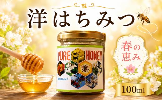 はちみつ 国産 洋はちみつ 100g 西洋みつばち 洋 蜂蜜 蜜蜂 みつばち 純粋はちみつ ハニー 美容 健康 栄養豊富 コーヒー 紅茶 レモン ミルク ジンジャー スイーツ ヨーグルト パンケーキ トースト 保存食 菓子 産地直送 徳島県 三好市 みよし