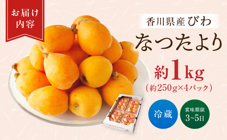 初夏を感じる果物　香川県産びわ（なつたより）　約1.0kg【香川県共通返礼品】_mk059-004