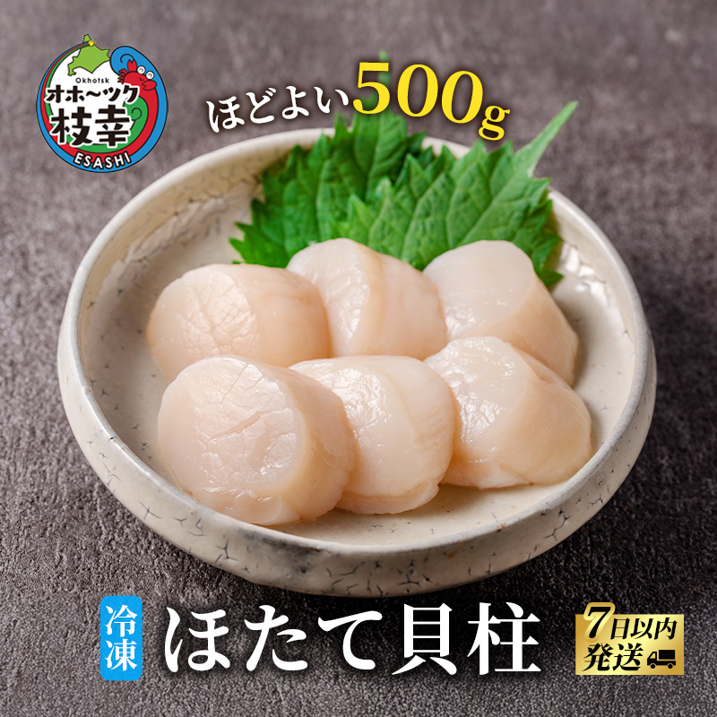 北海道 オホーツク産 ふるさとの贈り物 500gの冷凍ほたて貝柱【 枝幸ほたて 】至福の味 海洋食品 刺身 魚介 帆立 