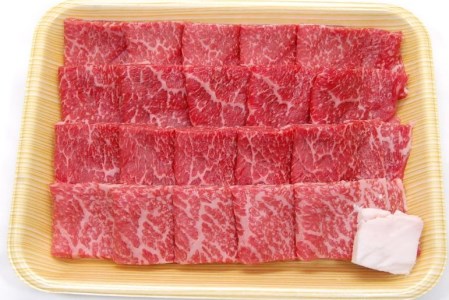 飛騨市産 5等級飛騨牛 焼肉用 500g ギフト お中元 お歳暮[Q353]