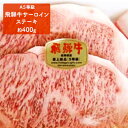 【ふるさと納税】飛騨牛サーロインステ−キ（A5等級）約400g　【牛肉・お肉】