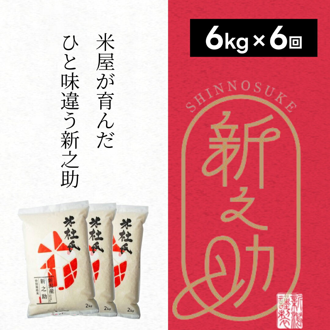 【ふるさと納税】【令和7年産】【6ヶ月定期便】特別栽培米 新之助 6kg (2kg×3袋)×6回 米杜氏 壱成 白米 精米 大粒 つや 光沢 弾力 芳醇