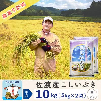 ふるさと納税 佐渡市 【毎月定期便】佐渡島産こしいぶき 白米10Kg(5Kg×2袋) 〜農薬5割減〜全3回