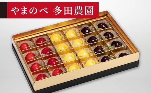＜先行予約＞【珠玉の月山錦・紅秀峰・サミット】みやび箱 24粒【やまのべ多田耕太郎のさくらんぼ 多田農園】