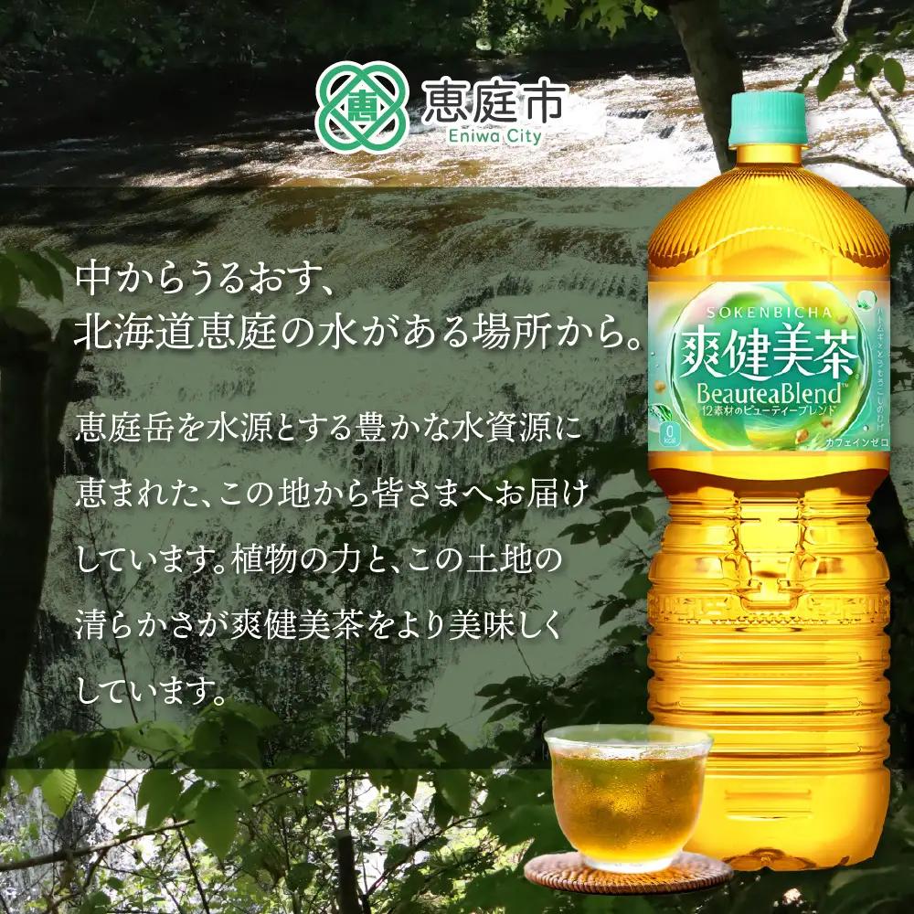 『定期便：全3回』爽健美茶2000mlPET×6本【38000802】
