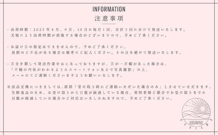 ＜定期便全3回＞シャインマスカット晴王1房800ｇ化粧箱入　3回コース