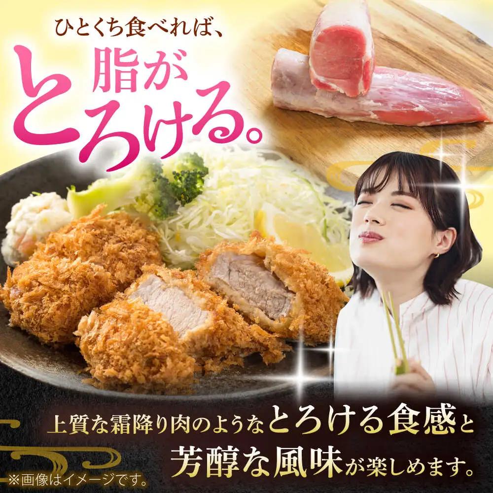 ヒレ肉 3本入り BCAJ012 豚肉