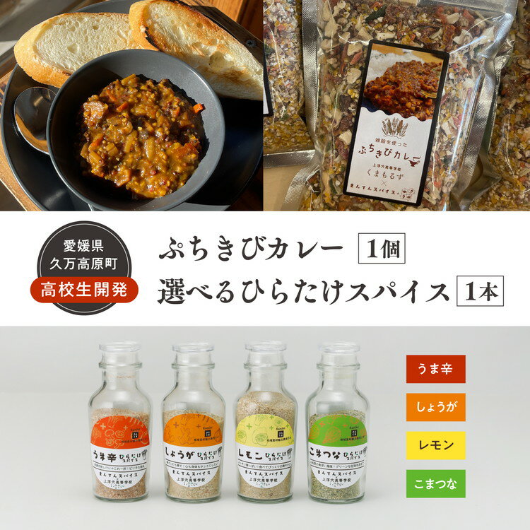 【ふるさと納税】【選べるスパイス】高校生開発商品セット（ぷちきびカレー1個・ひらたけスパイス1本）｜ 雑穀 ヘルシー 健康 防災 備蓄 アウトドア キャンプ キーマカレー カレーキット とうきび スパイス 香辛料 調味料セット BBQ ひらたけ SGDs 久万