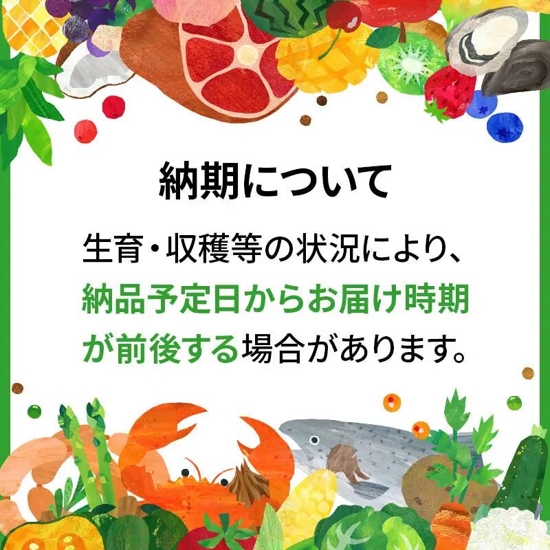 小坂産 乾燥にんにく 500g