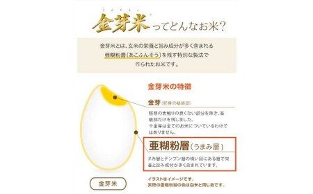 子育て応援米 【令和7年産】 那岐山麓菜の花米金芽米 （ あきたこまち ） 10kg （5kg×2袋） お米 米 金芽米 無洗米 岡山県