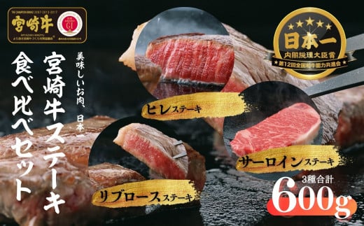 宮崎牛 ステーキ食べ比べセット600g_Tk024-028