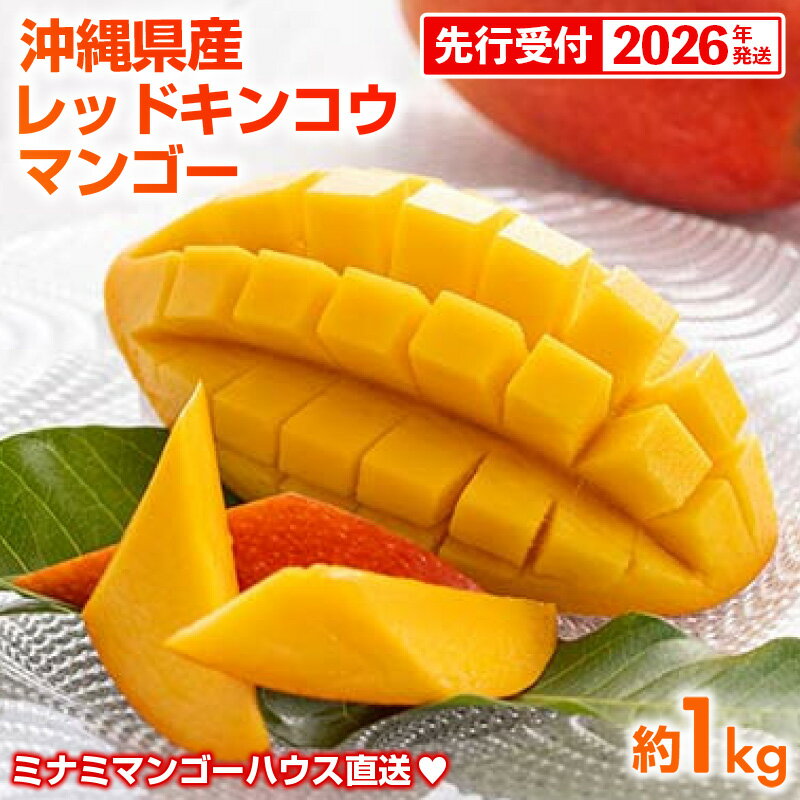 【ふるさと納税】【先行受付】【2026年発送】ミナミマンゴーハウスの赤金煌(レッドキンコウ）マンゴー約1kg【優品】 - 先行予約 沖縄県産 産地直送 南国フルーツ 旬の味覚 希少種 希少栽培 オススメ 沖縄県 八重瀬町