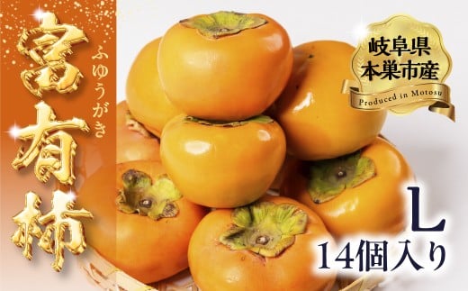【2026年11中旬～発送】令和8年産 富有柿  Lサイズ 14個入り 秋冬フルーツ 旬の果物 くだもの ふるーつ  フルーツ   おまかせ 柿 かき フルーツ かき ふゆうがき 果物  旬の果物 産直フルーツ 箱買い果物  11～12月発送 11月 12月 発送 くどみフルーツ農園 岐阜県