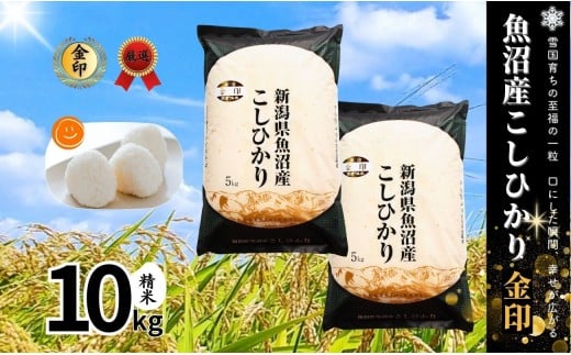 高食味米 10kg ( 5kg × 2袋 ) 令和7年産 新米 魚沼産 コシヒカリ 金印 ( 一等米の中から厳選 ) | 白米 精米 こしひかり 米 こめ お米 ブランド米 おすすめ 新潟県 津南町