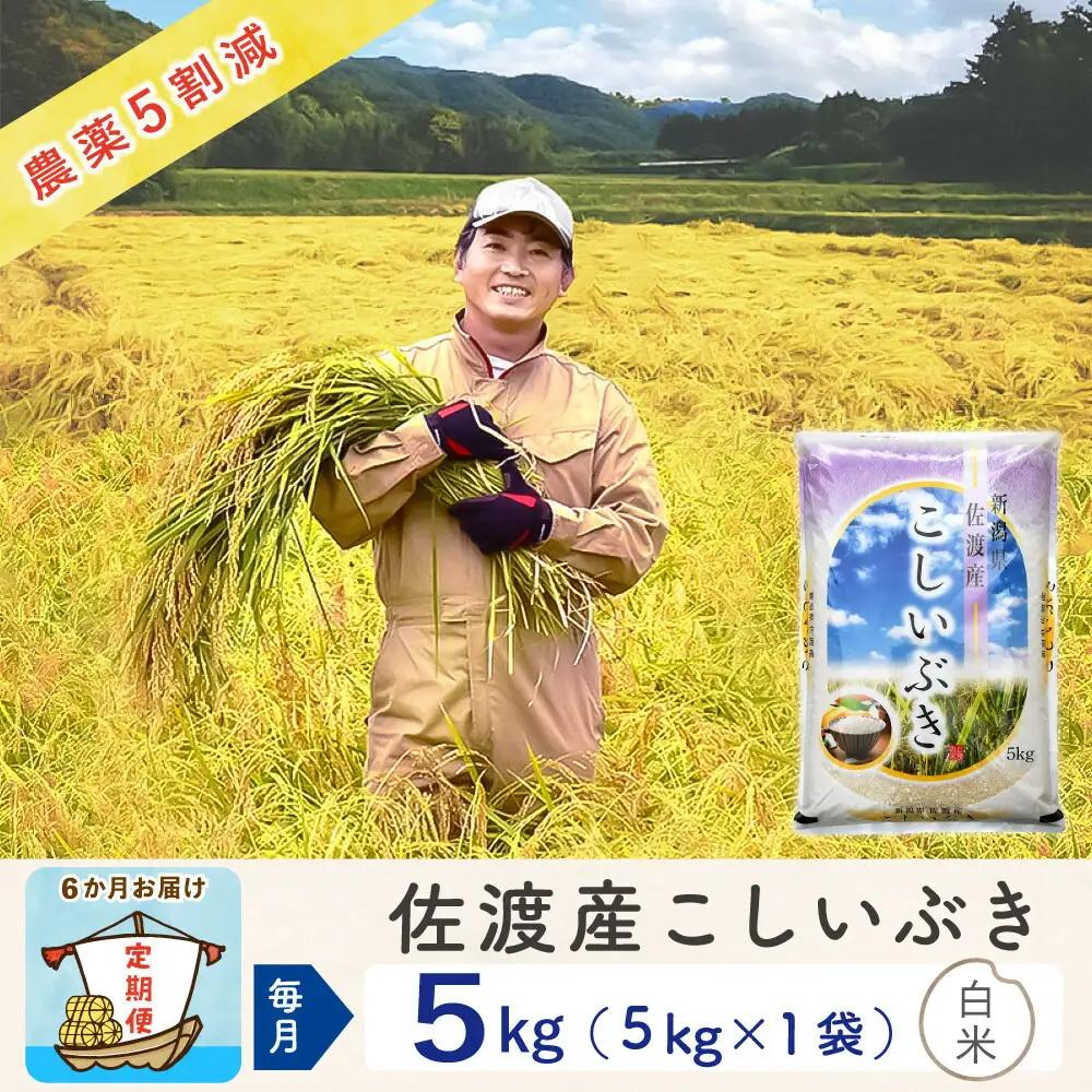 佐渡島産【6か月定期便 こしいぶき】佐渡島産こしいぶき 白米 合計30kg（5kg×毎月お届け全6回）令和8年産 新米 農薬・化学肥料5割減 195962-3913
