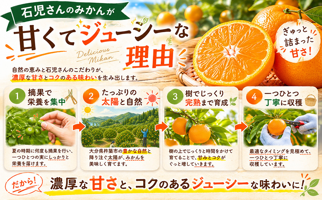 野菜ソムリエ石児さんの「特選 温州みかん 5kg」 ／ ミカン 柑橘 5kg 5キロ 柑橘類 甘い 温州みかん フルーツ 先行予約 11月 12月 1月 11月発送 12月発送 1月発送 ＜103-0