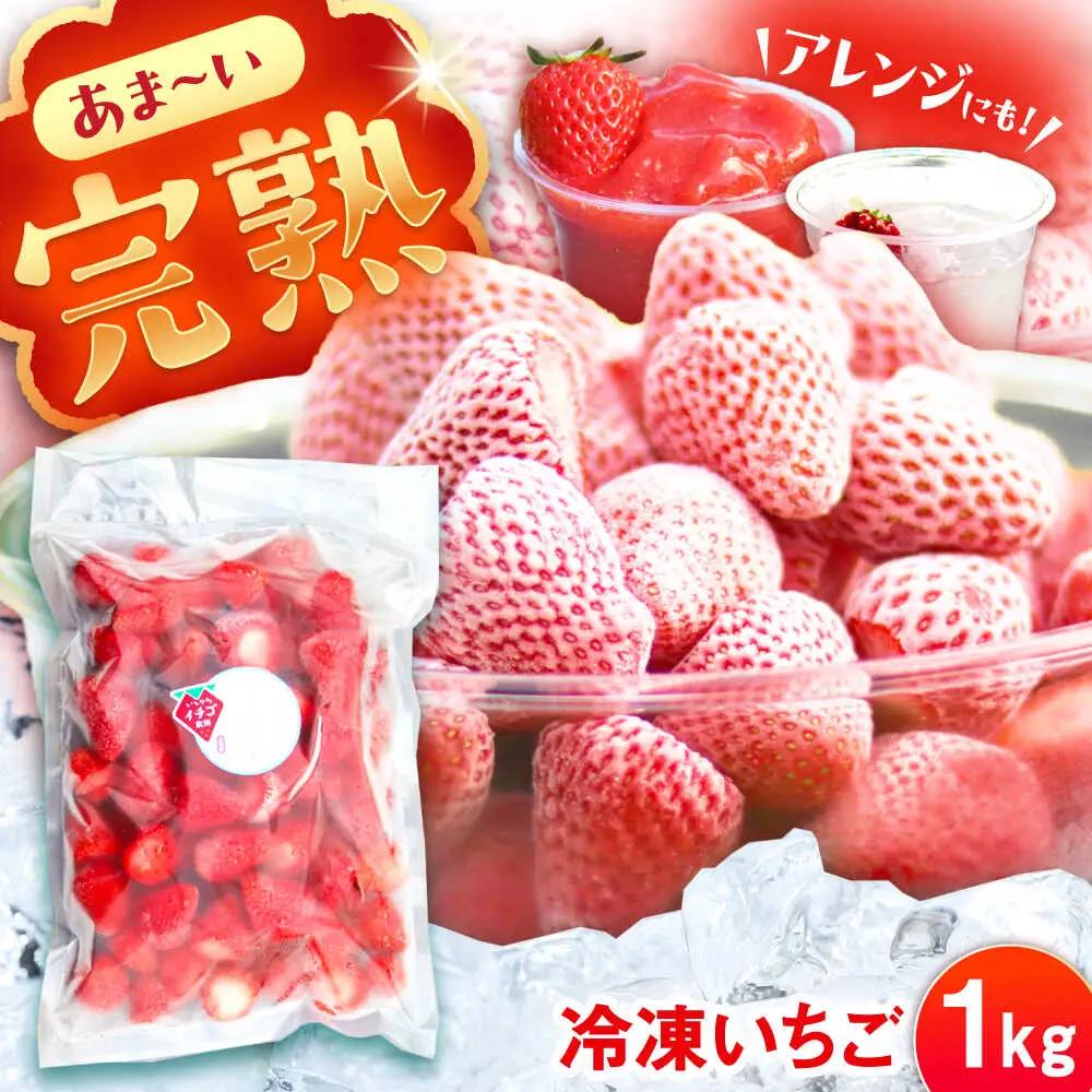 冷凍いちご 1kg / 恵那市 / クリエイティブファーマーズ [AUAH023]